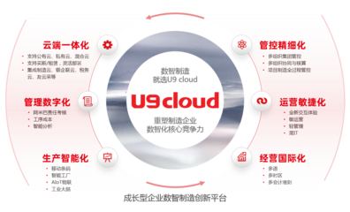 軟件產品的互聯網銷售 策略、優勢與挑戰